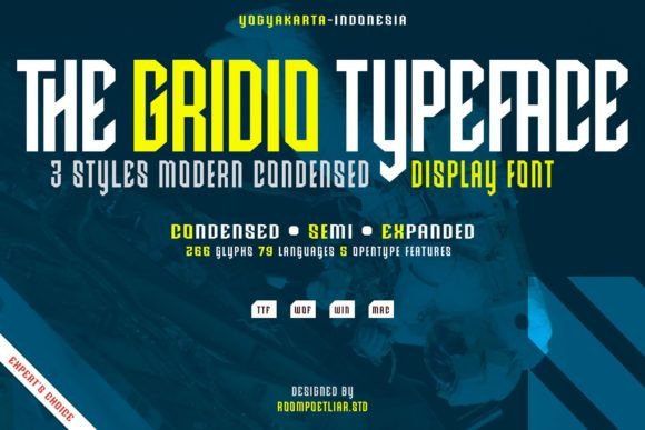 Gridio: The Futuristic Font That Boosts Campaign Impact